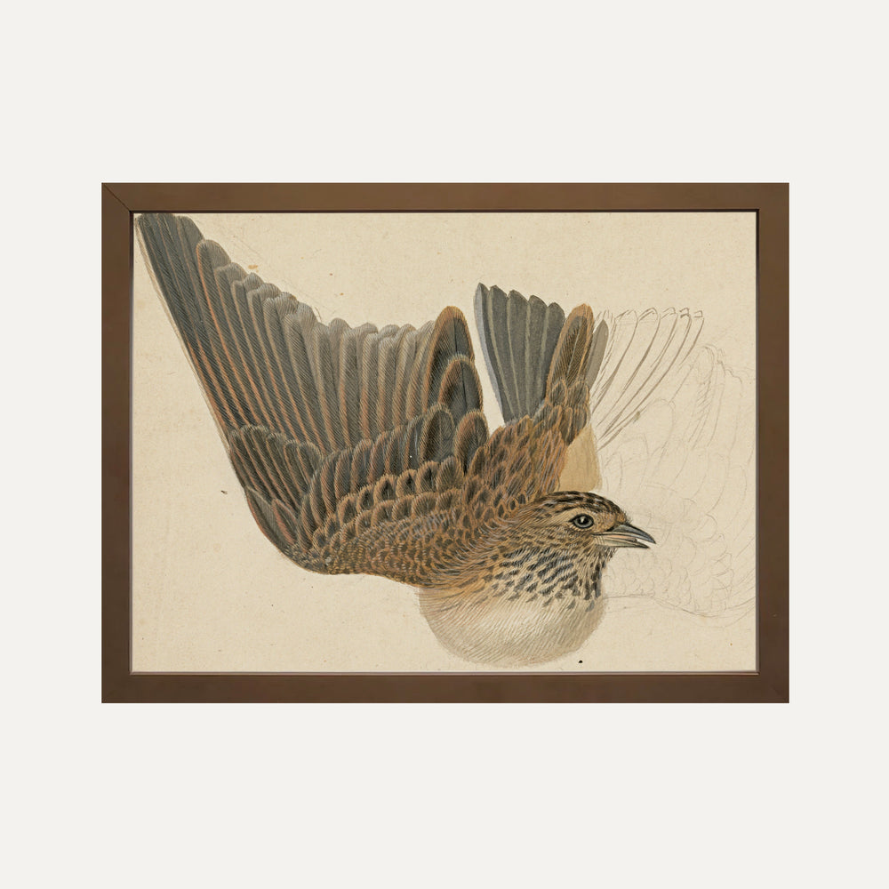 Impression sur papier beaux-arts - Sérénité Majestueuse