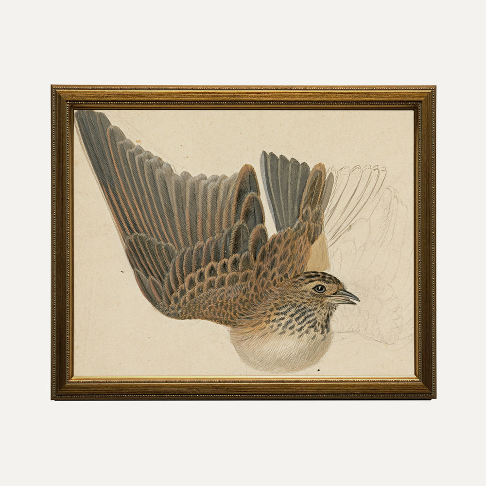 Impression sur papier beaux-arts - Sérénité Majestueuse
