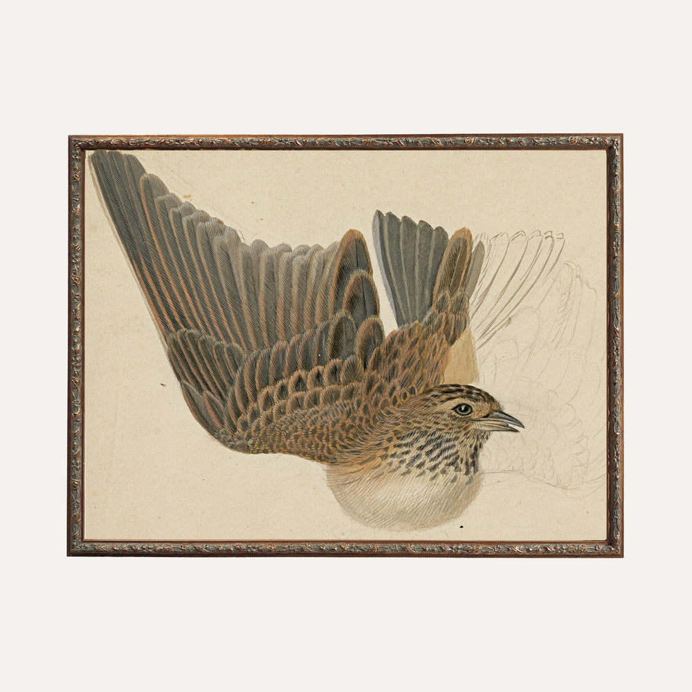 Impression sur papier beaux-arts - Sérénité Majestueuse