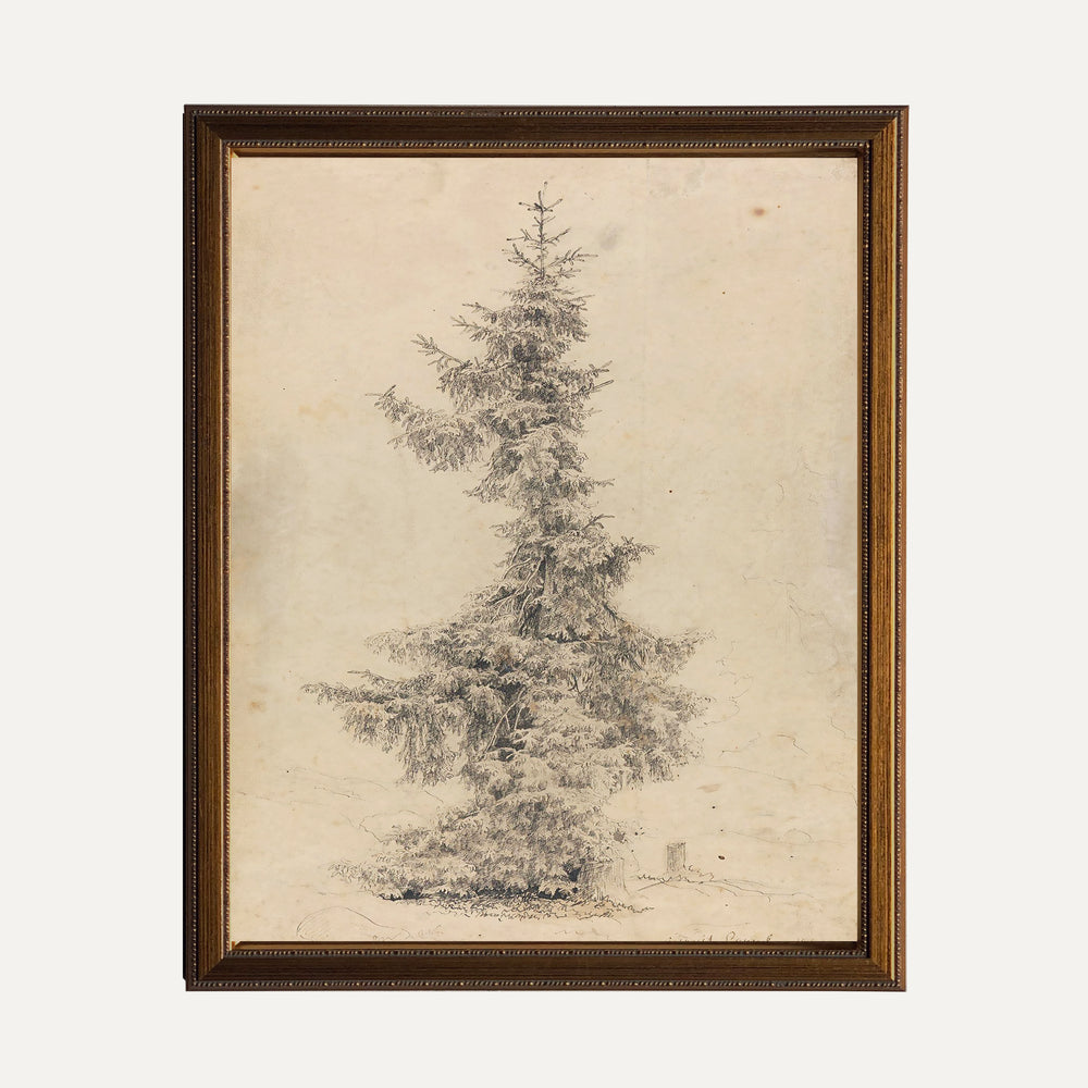 Impression sur papier beaux-arts - Mon beau sapin