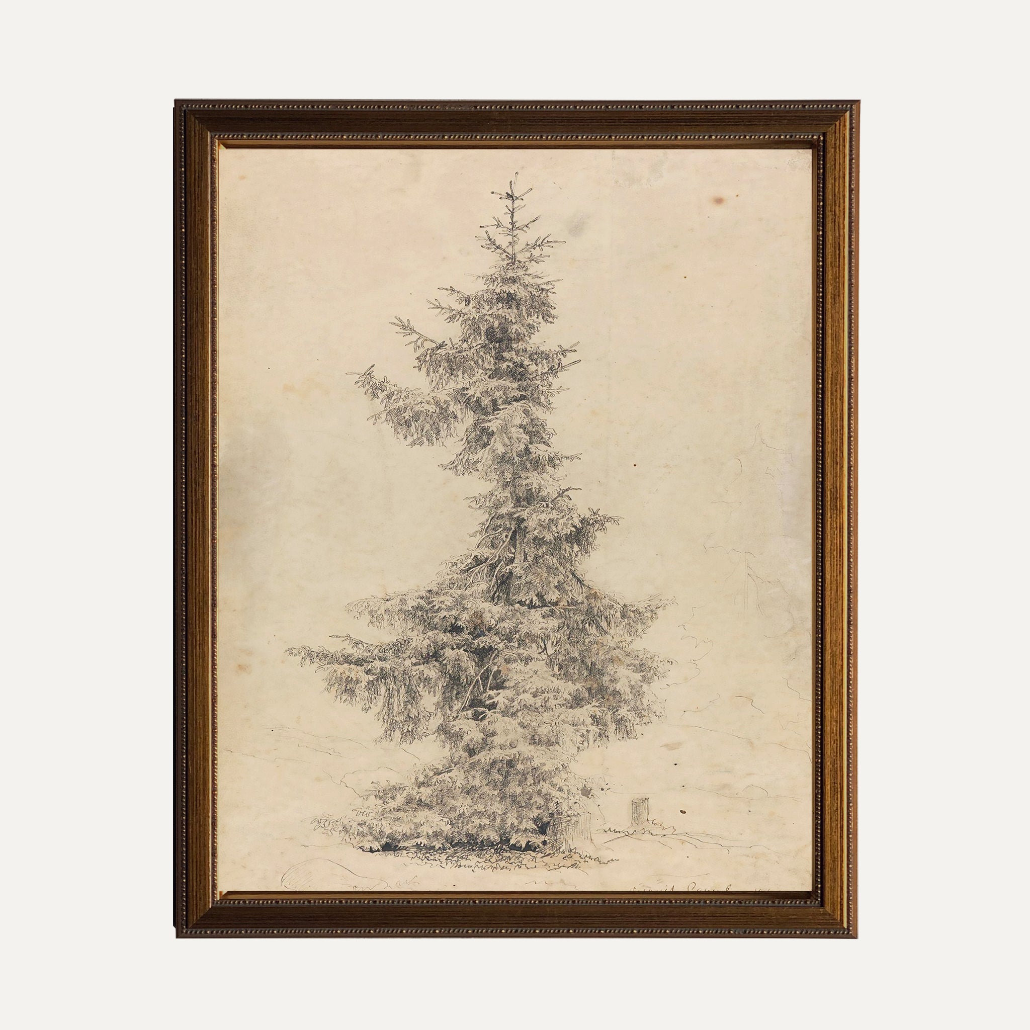 FINE ART PAPER PRINT - Oh Christmas tree!