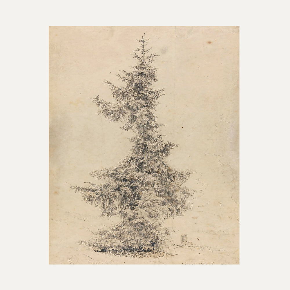 Impression sur papier beaux-arts - Mon beau sapin