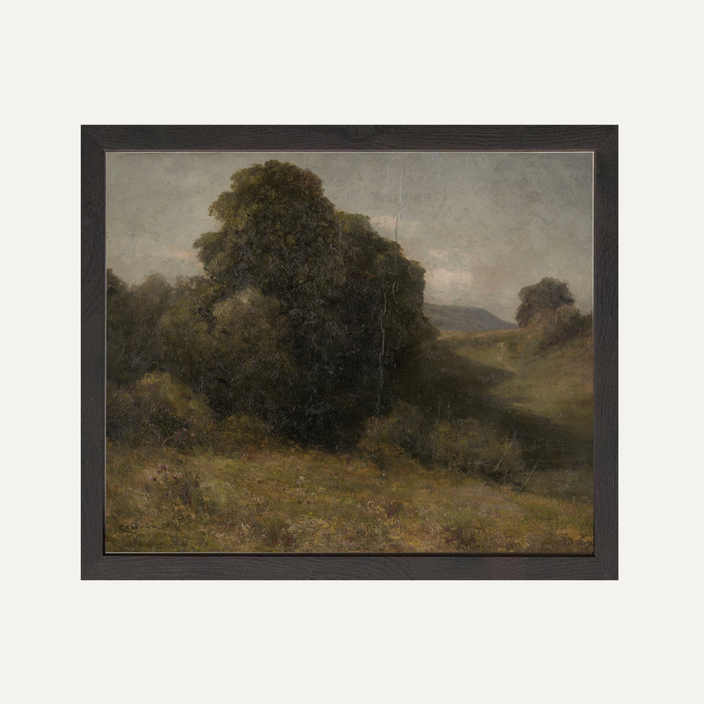 Impression sur papier beaux-arts - La verte vallée