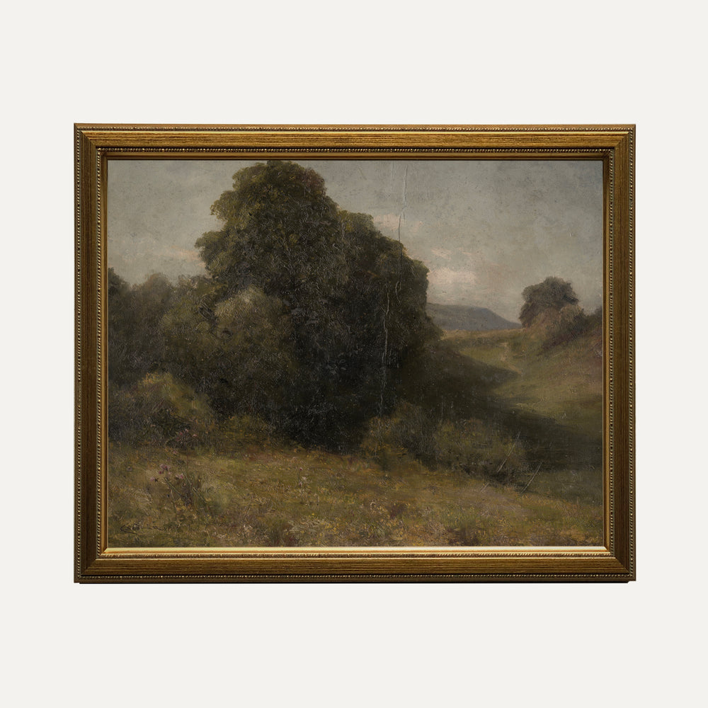 Impression sur papier beaux-arts - La verte vallée