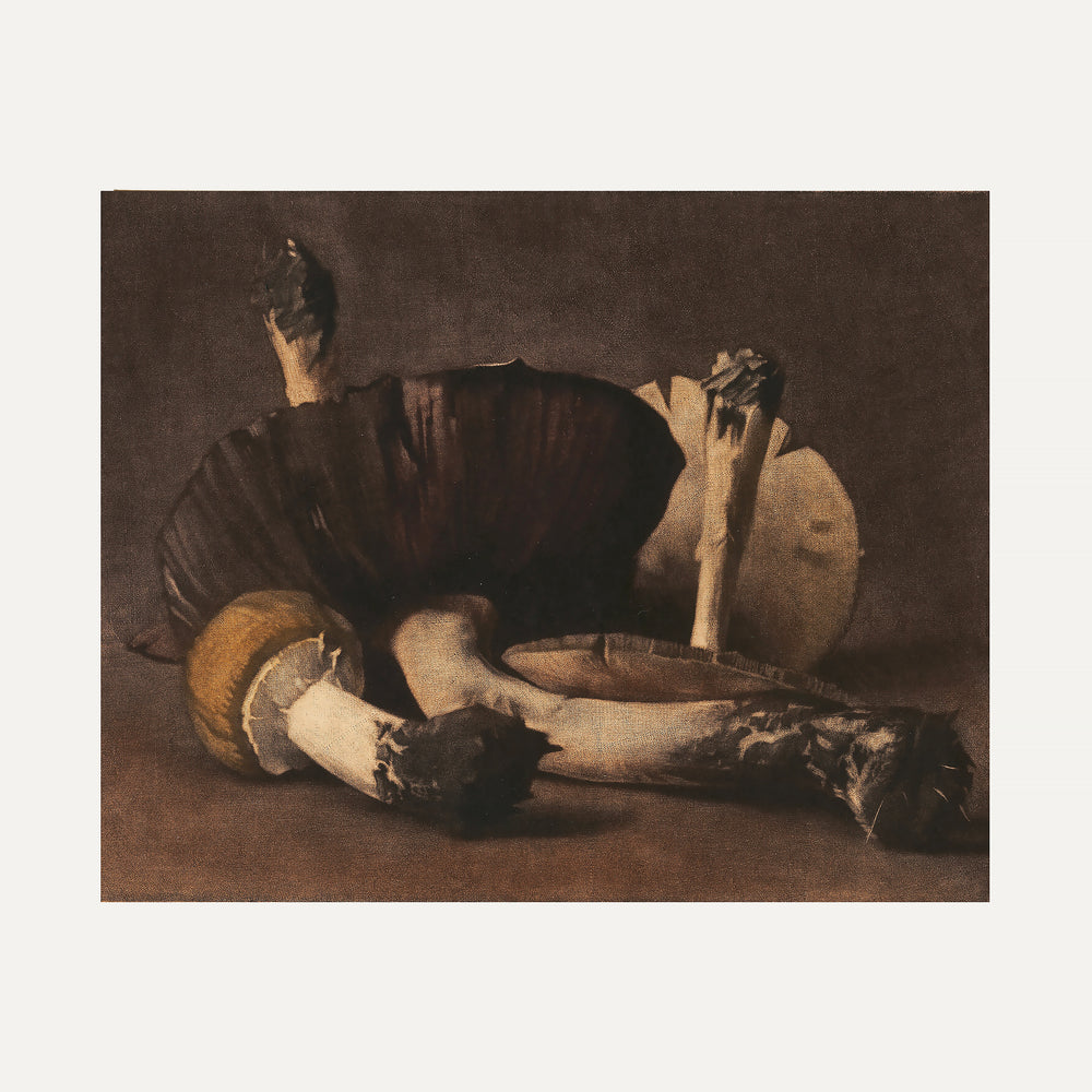 FINE ART PAPER PRINT - Velvety gourmet still life 