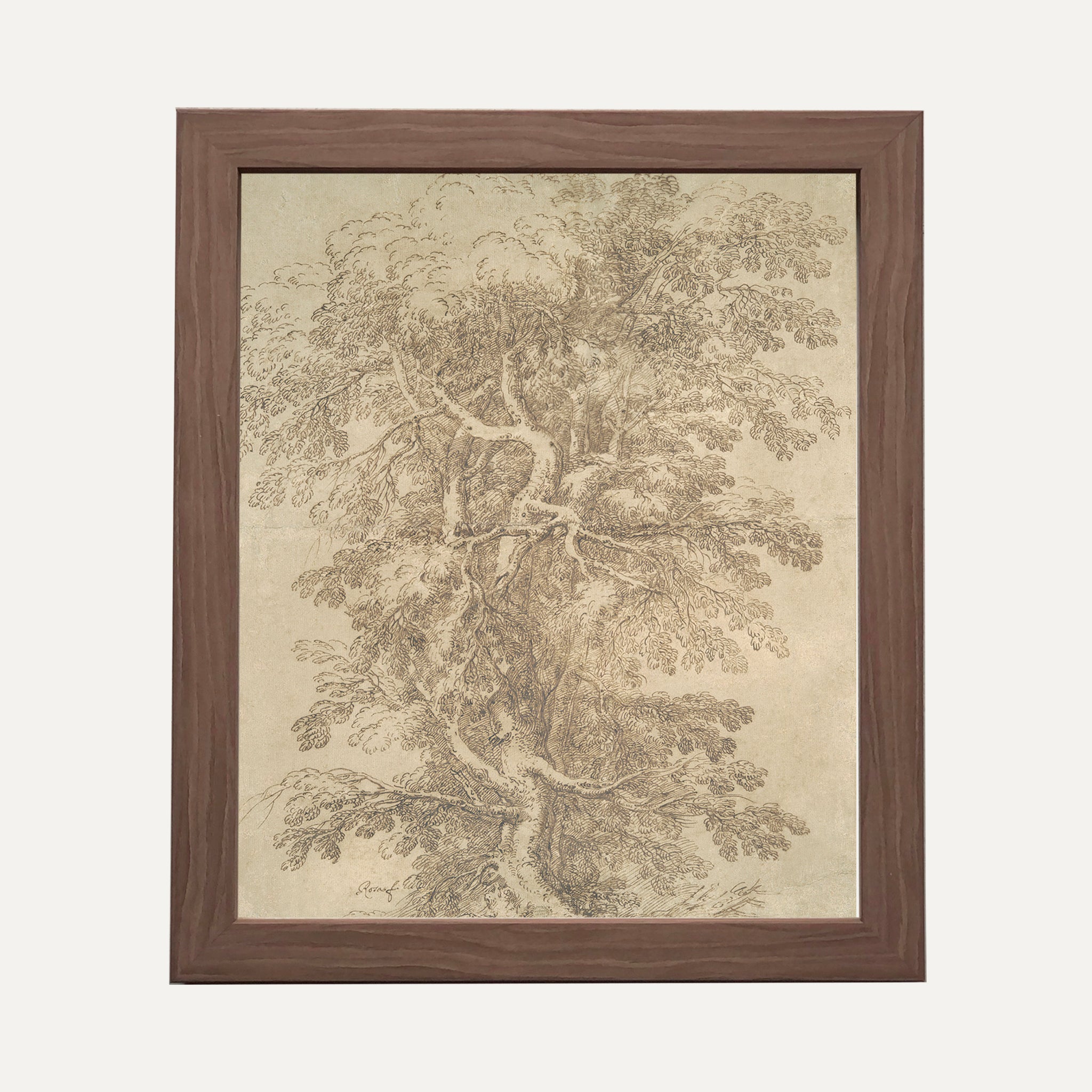 Impression sur papier beaux-arts - Esquisse arbre