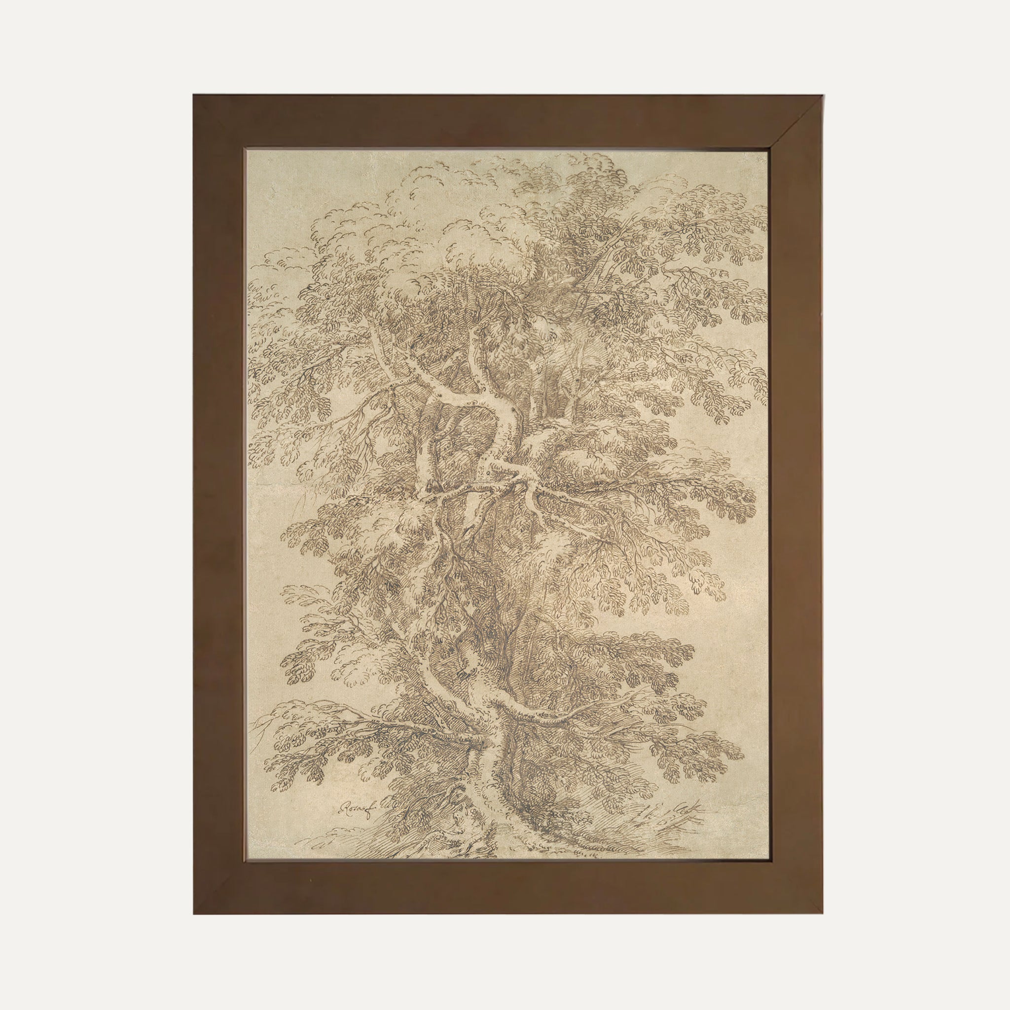 Impression sur papier beaux-arts - Esquisse arbre