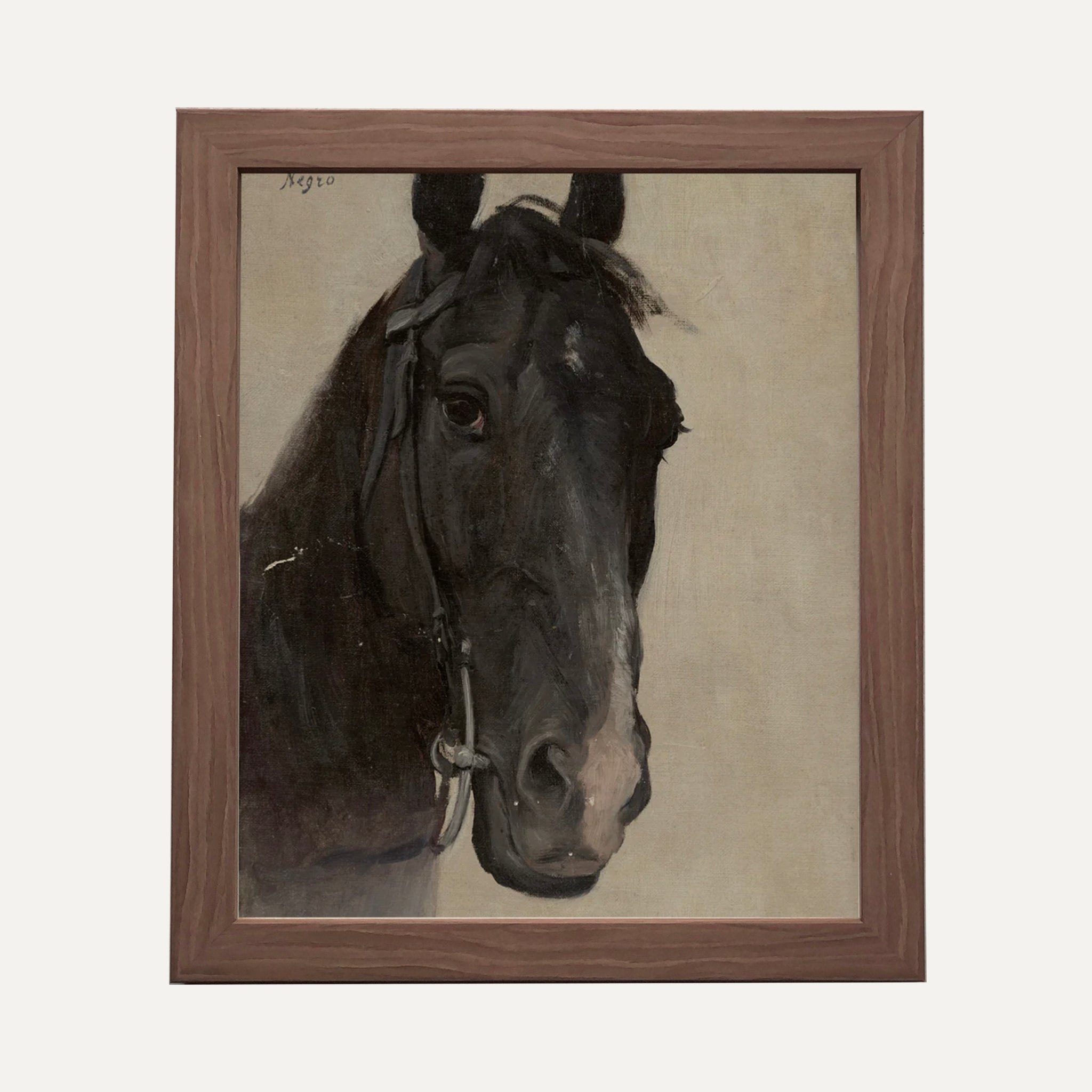 FINE ART PAPER PRINT - THE BLACK HORSE
