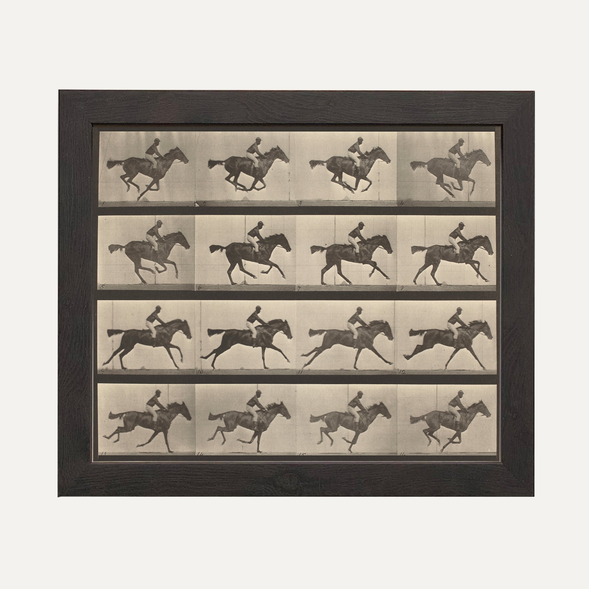 Impression sur papier beaux-arts - Photographie chevaux