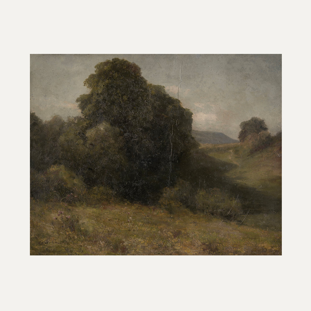 Impression sur papier beaux-arts - La verte vallée