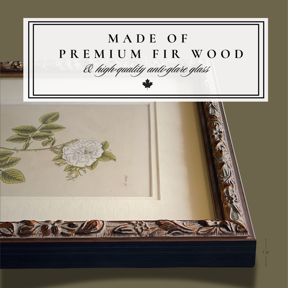 Premium poster frame - Florence - 16x20 in | 41x51 cm