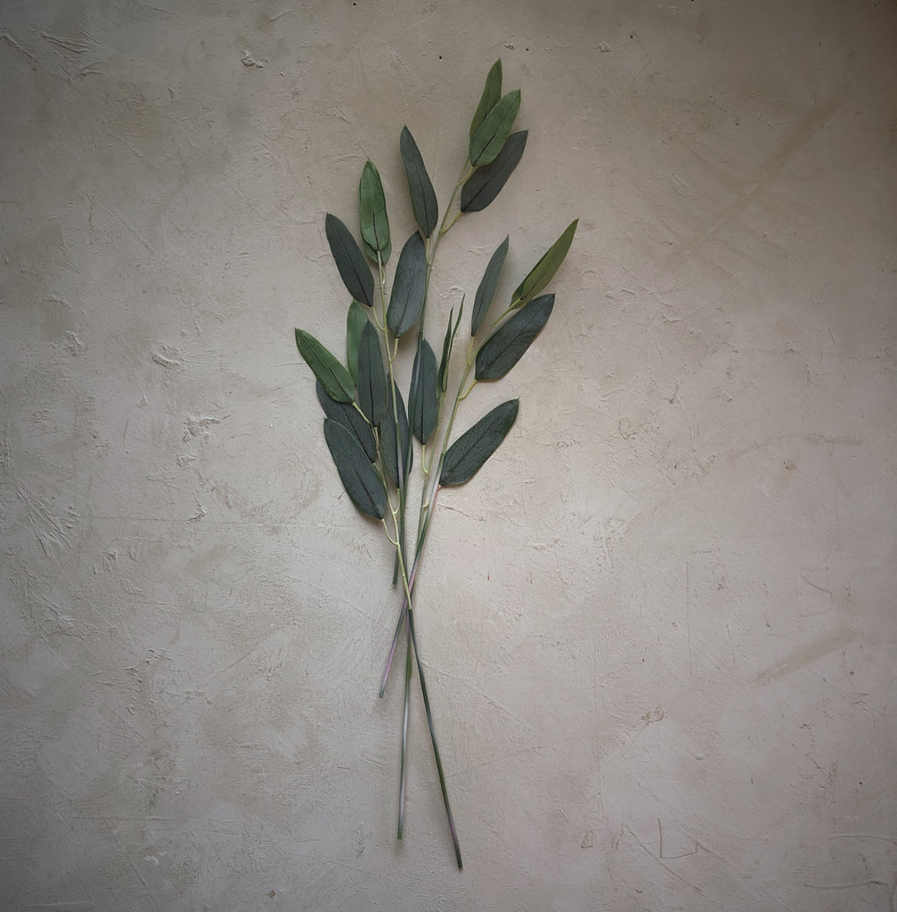 Sur mon x - curated home decor accessories 5 Eucalyptus branches accessoire de décoration maison vintage 5 Branches d'eucalyptus