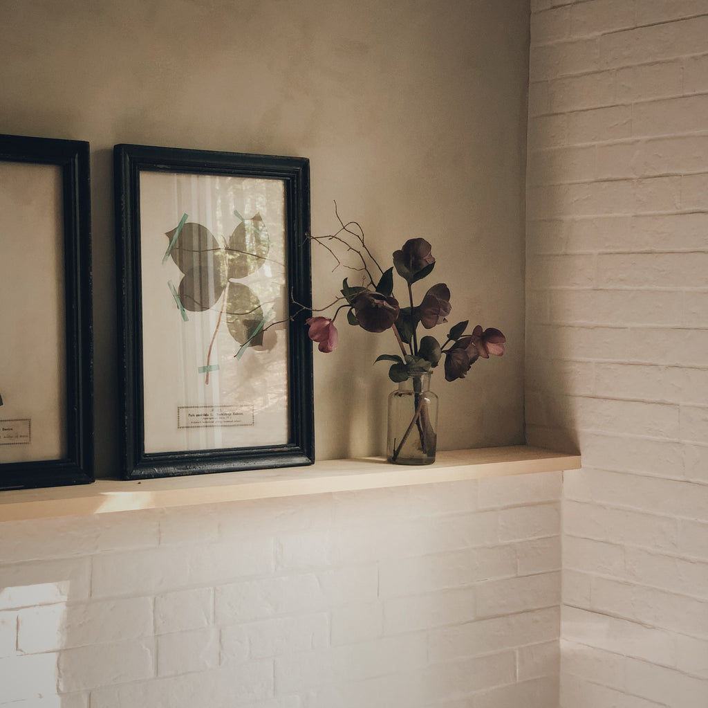 cadre botanique herbier - vintage frame sur mon x