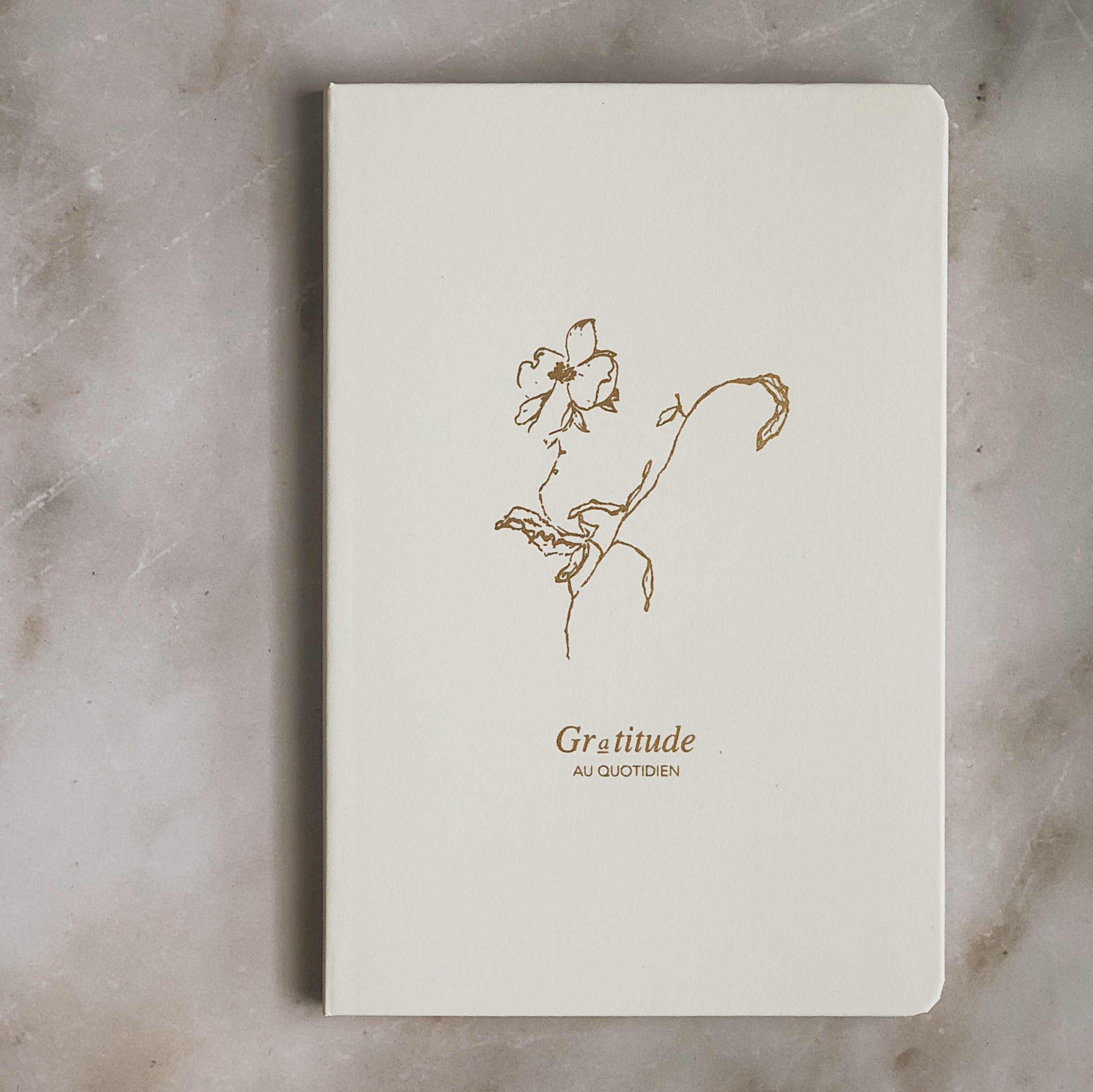 Journal de gratitude – Sur mon x
