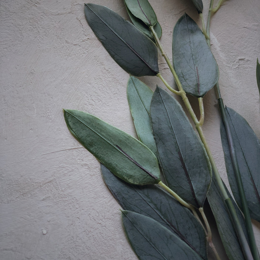 Sur mon x - curated home decor accessories 5 Eucalyptus branches accessoire de décoration maison vintage 5 Branches d'eucalyptus