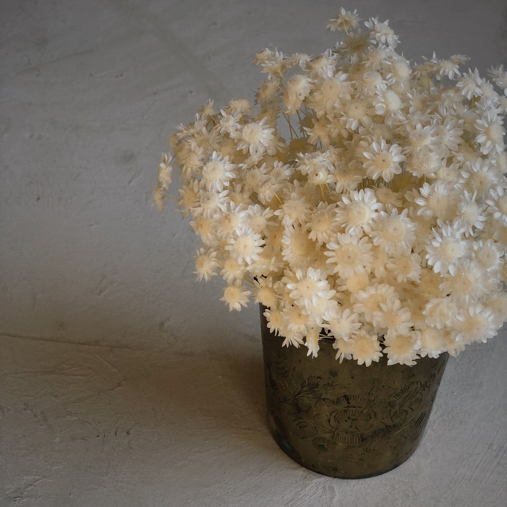 Sur mon x - curated home decor accessories Bouquet of white dried star flowers accessoire de décoration maison vintage Pot d'allumettes à gratter