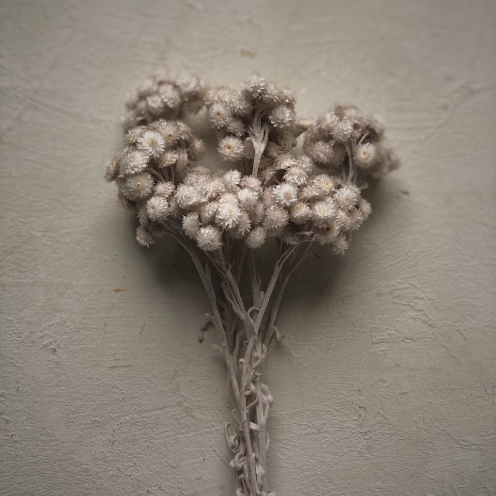 Sur mon x - curated home decor accessories Bouquet of dried immortelles accessoire de décoration maison vintage Bouquet d'immortelles séchées
